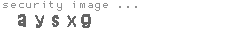 security image