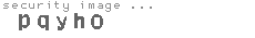 security image