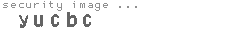 security image