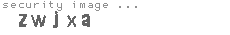security image