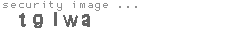 security image