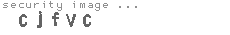security image