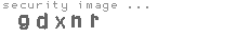security image
