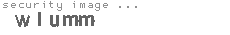 security image