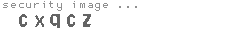 security image