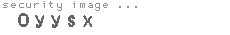security image