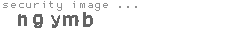security image
