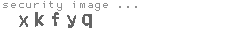 security image
