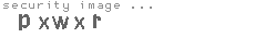 security image
