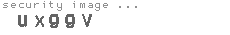 security image