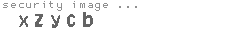 security image