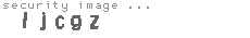 security image