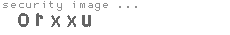 security image