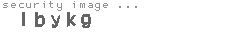 security image