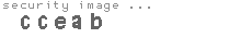 security image
