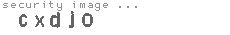 security image