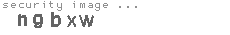 security image