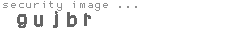 security image