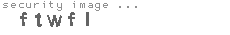 security image