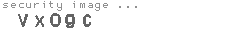 security image