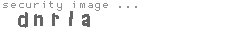 security image