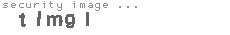 security image