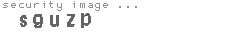 security image