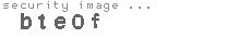 security image