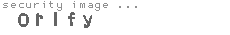 security image