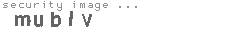 security image