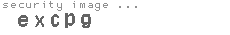 security image