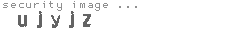 security image