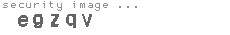 security image