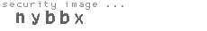 security image