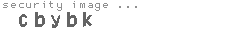 security image