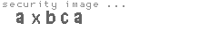 security image