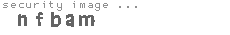 security image