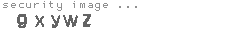 security image