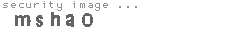 security image