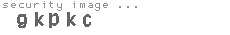 security image