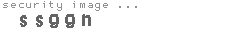 security image
