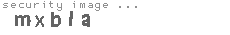 security image
