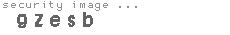security image