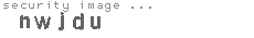 security image