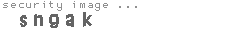 security image