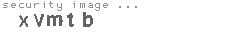 security image