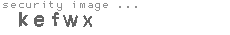 security image