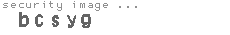 security image