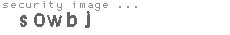 security image