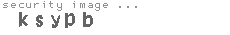 security image